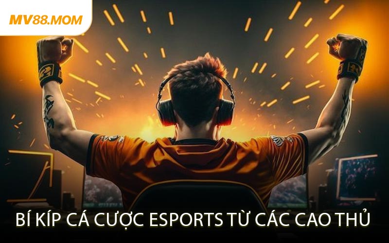 Bí Kíp Cá Cược Esports Từ Các Cao Thủ