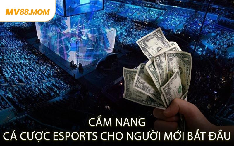 Cẩm Nang Cá Cược Esports Cho Người Mới Bắt Đầu