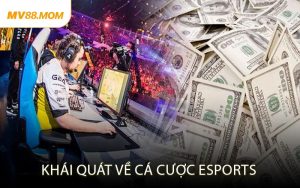 Khái Quát Về Cá Cược Esports