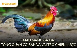 Màu Mạng Gà Đá – Tổng Quan Cơ Bản và Vai Trò Chiến Lược