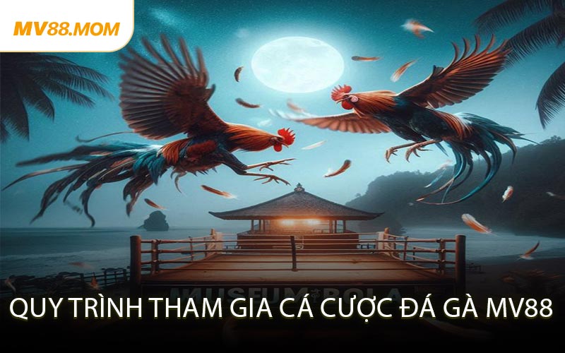 Quy Trình Tham Gia Cá Cược Đá Gà MV88